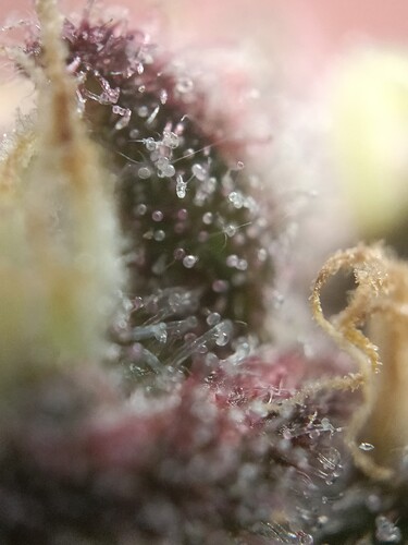 Growreport Bild 10