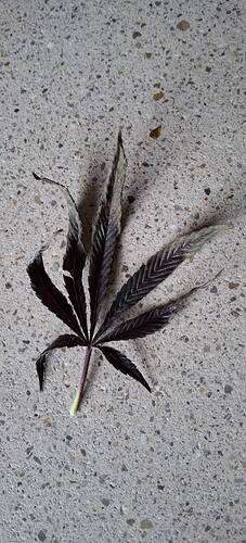 Growreport Bild 11