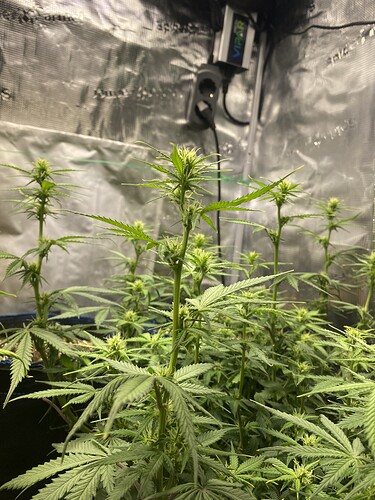 Growreport Bild 24