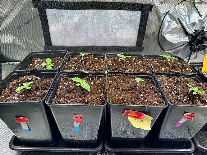 Growreport Bild 8