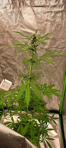 Growreport Bild 21