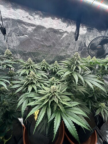 Growreport Bild 6