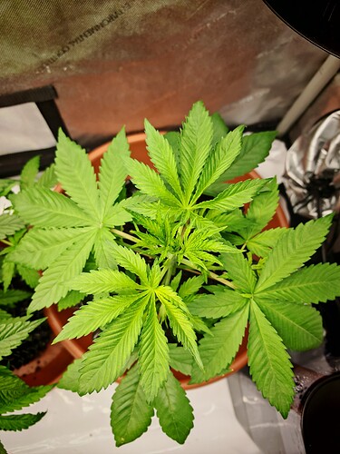 Growreport Bild 19