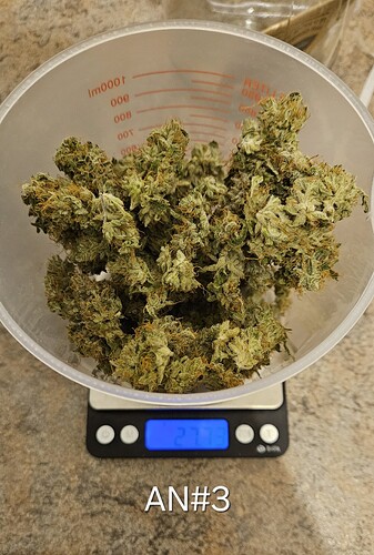 Growreport Bild 2