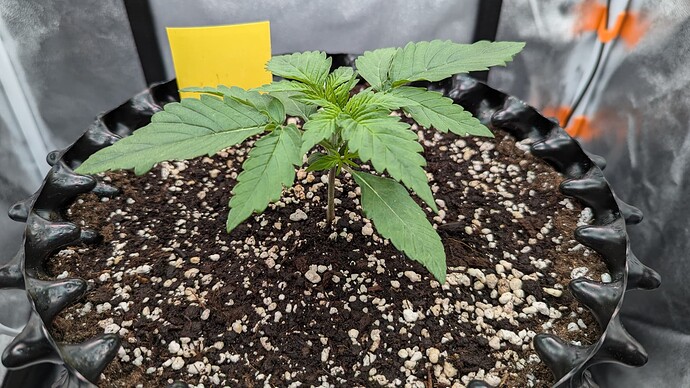 PXL_20240710_152730239.MP