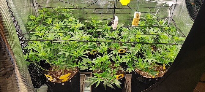 Growreport Bild 17