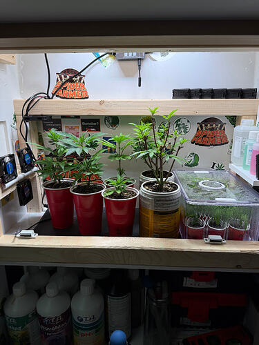 Growreport Bild 7