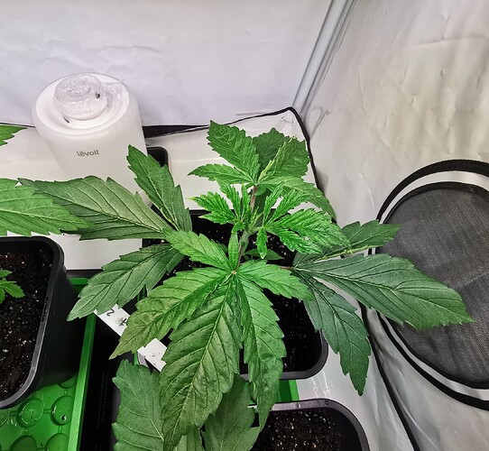 Growreport Bild 10