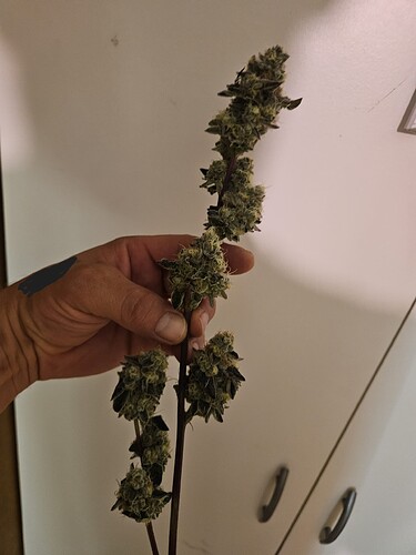 Growreport Bild 2