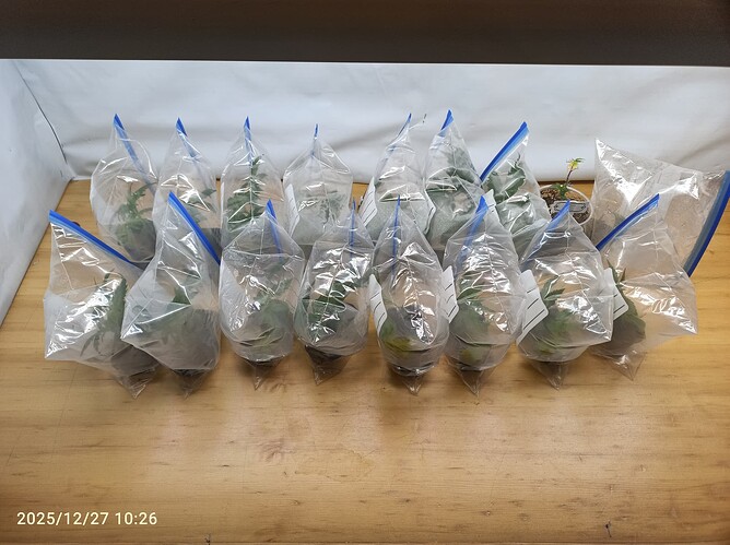 Growreport Bild 7