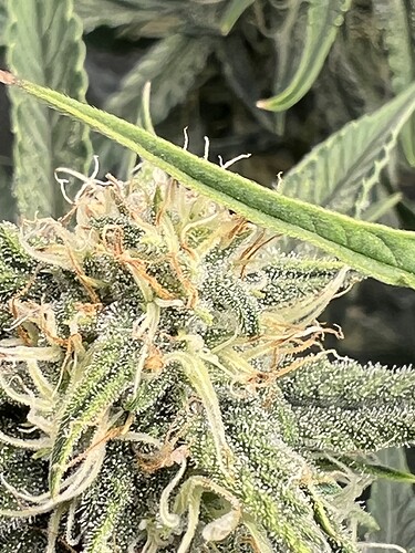 Growreport Bild 14