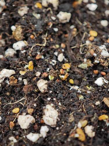 Growreport Bild 15