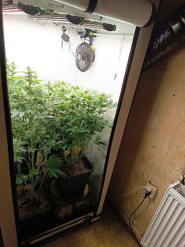 Growreport Bild 19