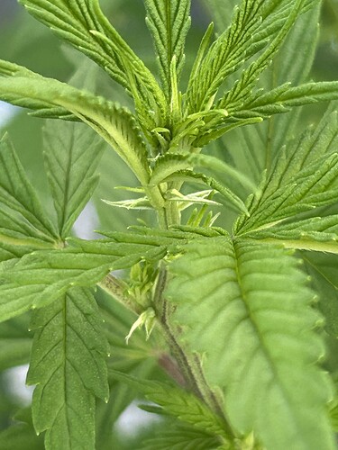 Growreport Bild 18