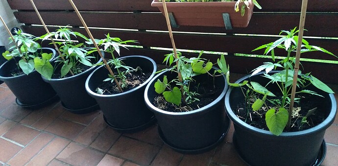 Growreport Bild 11