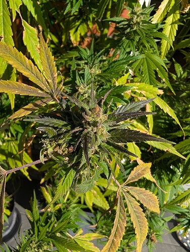PXL_20250928_093345181