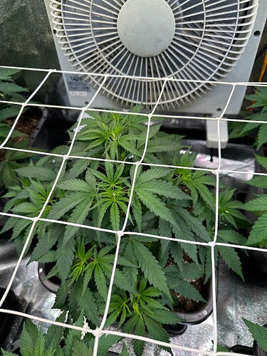 Growreport Bild 14
