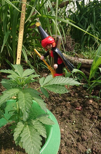 Growreport Bild 11