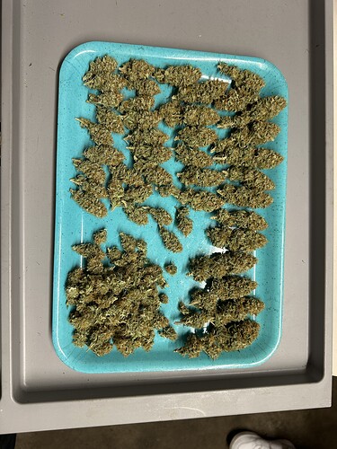 Growreport Bild 33