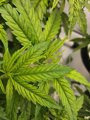 Growreport Bild 16