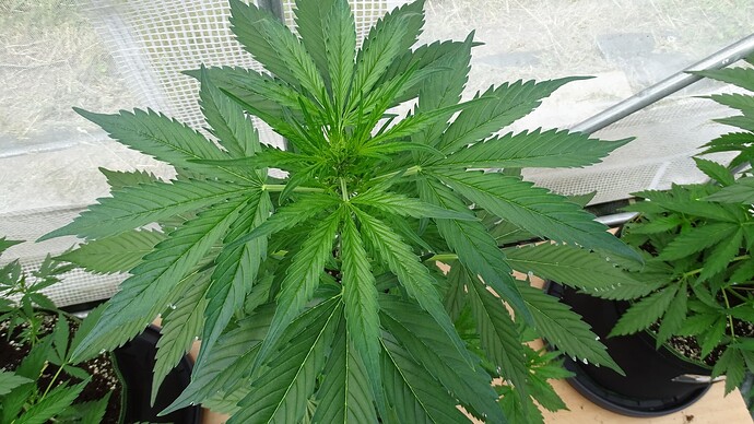Growreport Bild 11