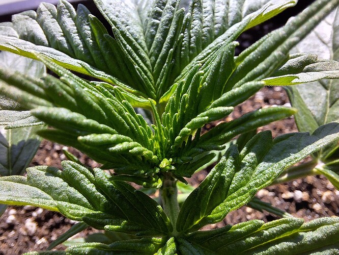 Growreport Bild 16