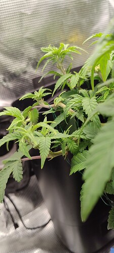 IMG_20251016_111008619