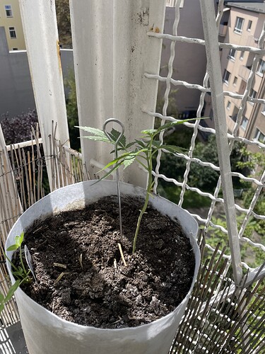 Growreport Bild 13