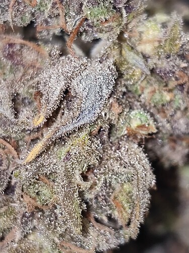 Growreport Bild 19