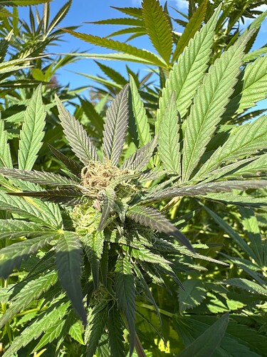 Growreport Bild 21