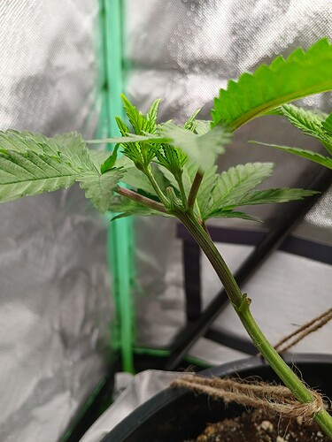 Growreport Bild 15
