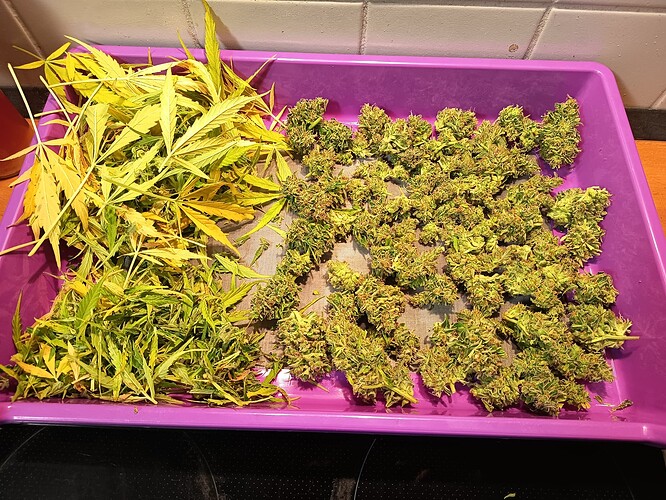 Growreport Bild 11
