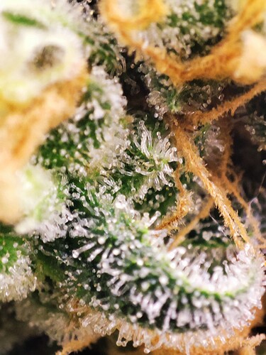 Growreport Bild 22
