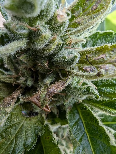 PXL_20240803_110605320