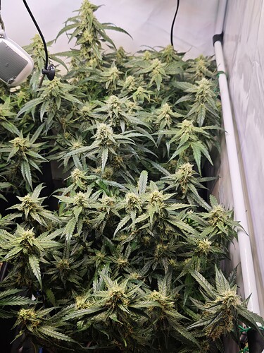 MVIMG_20251107_163533