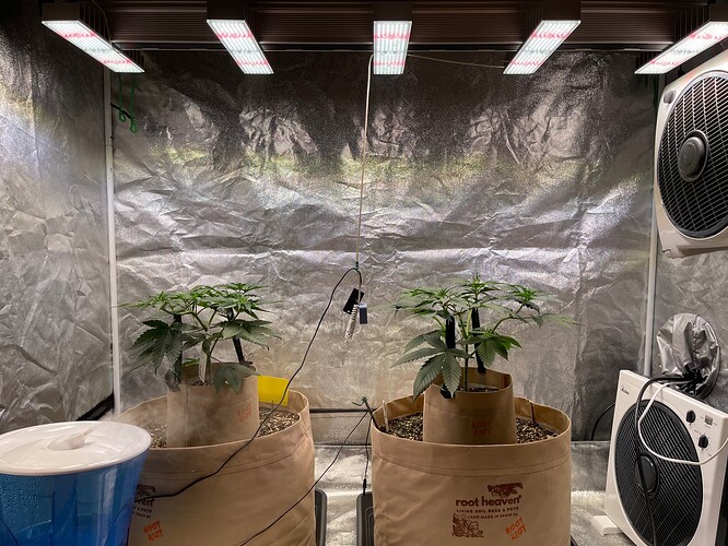Growreport Bild 12