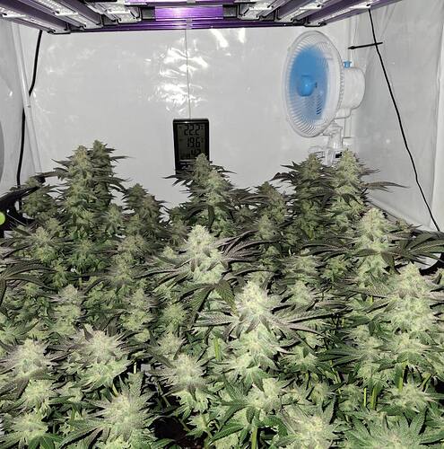 480152725_122168031314293599_521993688110138146_n