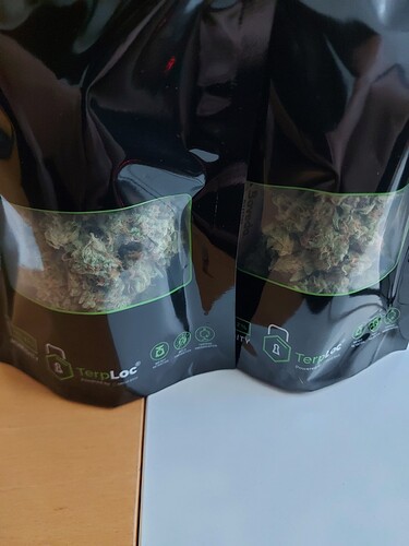Growreport Bild 1