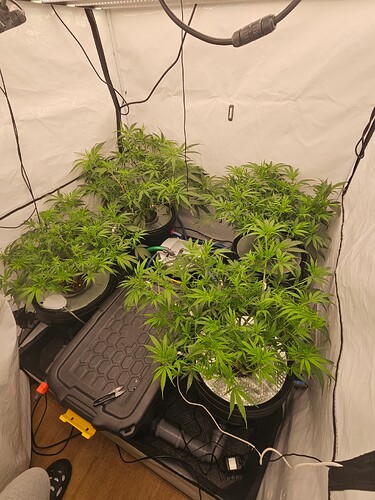 Growreport Bild 2