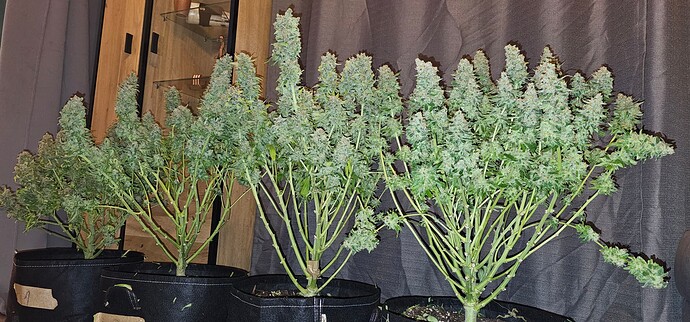 Growreport Bild 12