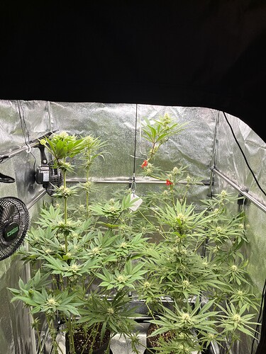 Growreport Bild 6