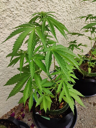 Growreport Bild 14