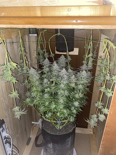 Growreport Bild 16