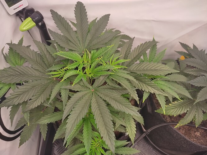 Growreport Bild 15