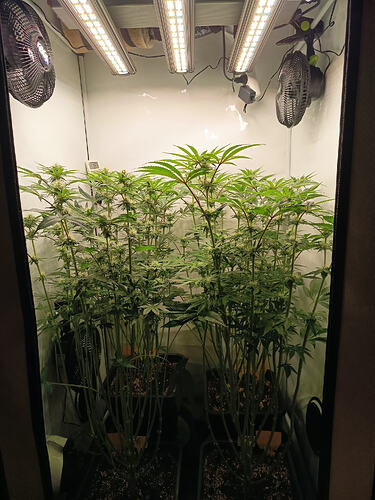 Growreport Bild 10