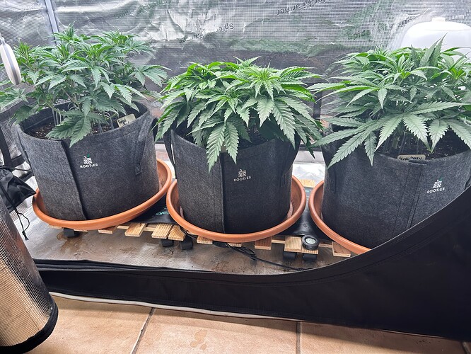 Growreport Bild 7