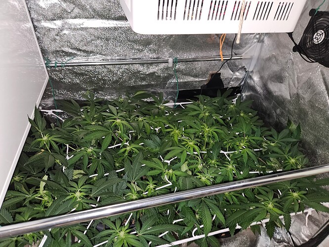 Growreport Bild 18