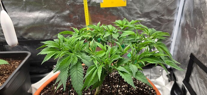 Growreport Bild 14