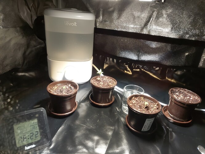 Growreport Bild 5