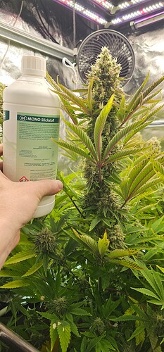 Growreport Bild 5